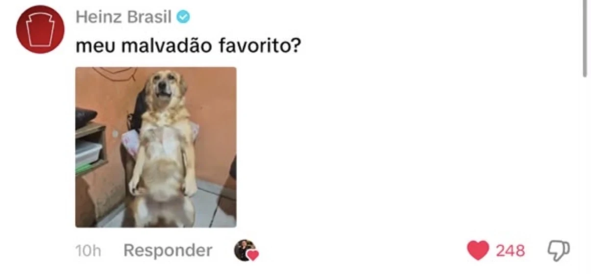 Comentário da Heinz Brasil num vídeo do @vilaogru